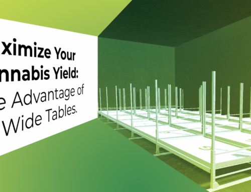Maximize Your Cannabis Yield: The Advantage of 5ft Wide Tables